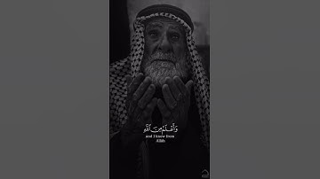 سورة يوسف - الشيخ سعد الغامدي #قرآن #قران_كريم #المصحف #اكسبلور