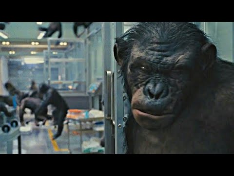 rise of the planet of the apes koba