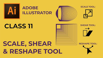 Adobe Illustrator Class 11 - Scale, Shear & Reshape Tool