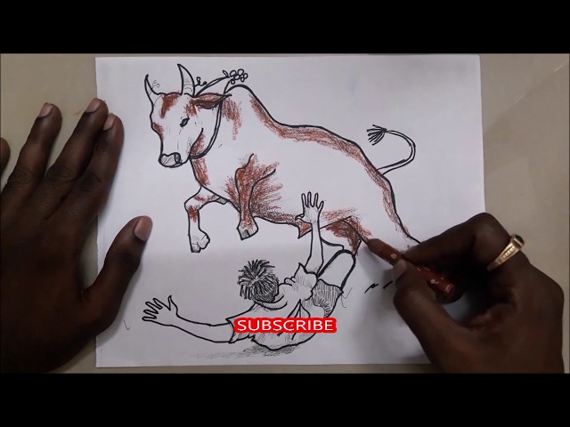 Details 129+ jallikattu drawing pictures