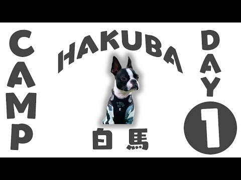 【ボストンテリア】白馬村で4泊5日のキャンプ~1日目~