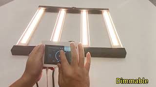 240W Compact LED Grow Light for Greenhouse Veggies & Home Grows 🌱