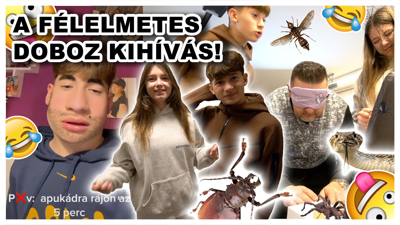 Gagzor.com - GIFs, Images Drôles et Vidéos Virales pour un Divertissement Inégalé | Gagzor.com A FÉLELMETES DOBOZ KIHÍVÁS!