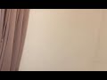 みんなの最後のお願い