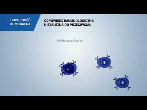 Wideo: Miejscowe Odpowiedzi Immunologiczne I Mikrobiologiczne Na Podawanie Przez Błonę śluzową Agonisty Receptora Liposomowego TLR Immunoterapeutycznego U Psów