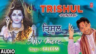 Trishul I SALEEM I Punjabi Shiv Bhajan I Shiv Mere I Full Audio Song