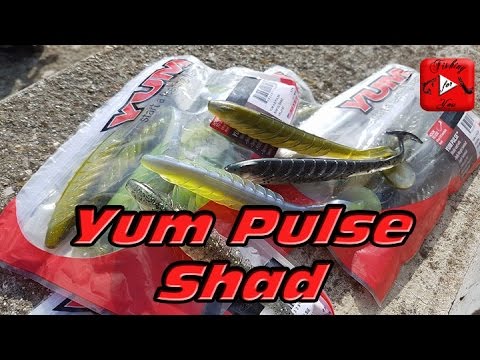 Présentation leurre+nage : YUM PULSE SHAD NOUVEAUTÉ 2017