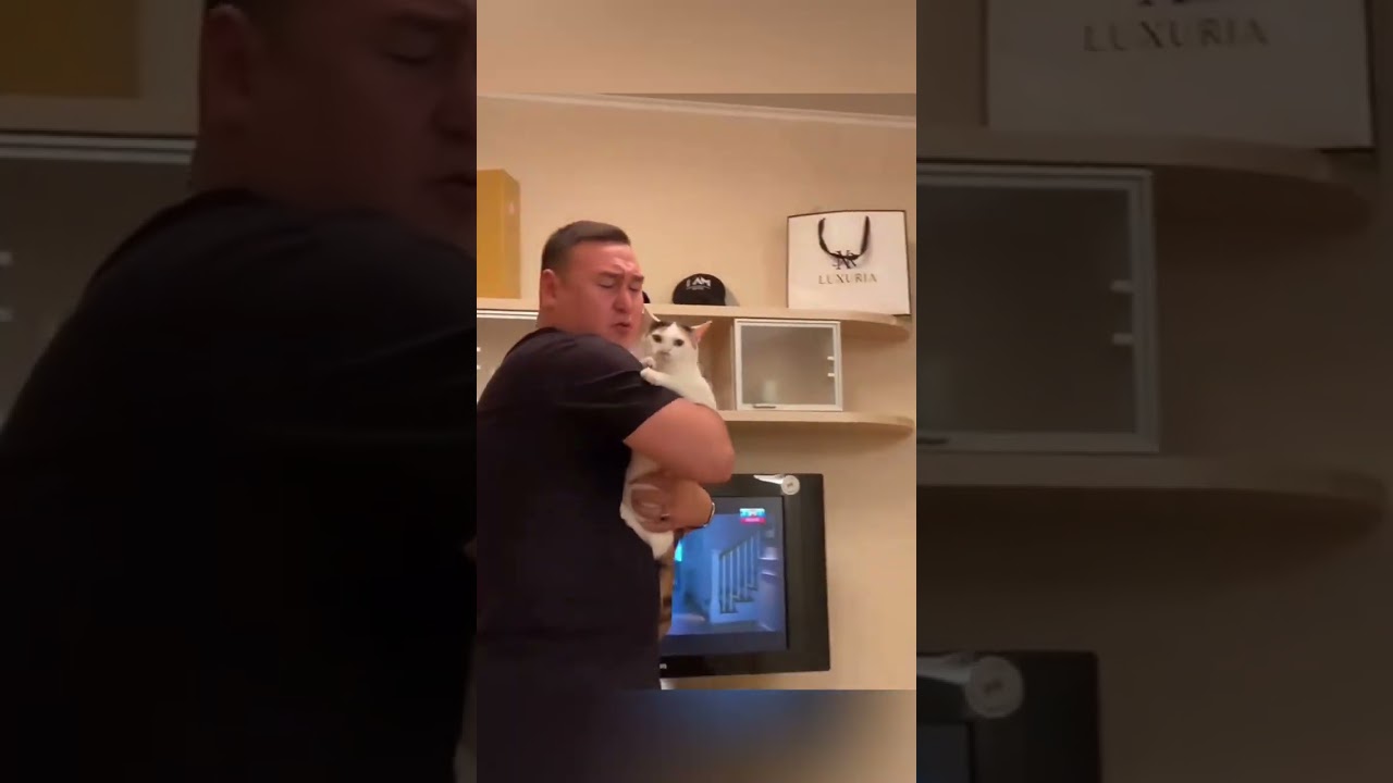 The all cats be like: he’s mine!