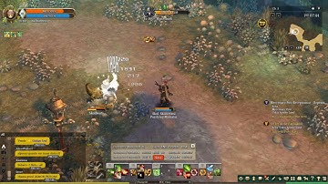 Tree Of Savior Coursing + Snatching + Rush Dog