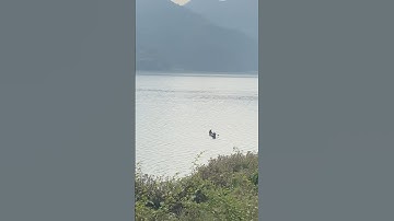 Fewa Lake🇳🇵😍#pokhara#lake#lakeview#shorts#youtubeshorts#boating#shortsfeed