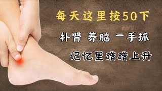 每天这里按50下，补肾，养脑一手抓，记忆力蹭蹭上升｜大钟穴｜太溪穴｜水泉穴｜鱼际穴｜踮脚功｜通经络｜益肾增智｜足跟痛｜咽喉问题｜ 中医养生｜身体调理｜气血疏通｜经络养生｜【中医针灸理疗师Jimmy】