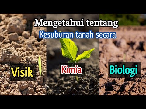 Video: Apa sifat fisik penting dari tanah?