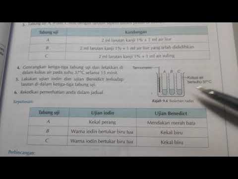 Eksperimen 9.1, mengkaji pencernaan kanji oleh enzim amilase liur