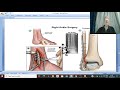 Orthopedic in Arabic 44  ( Ankle  Fractures , part3 ) , by Dr.Wahda