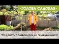 Голова садовая - Что делать с ботвой, если её слишком много