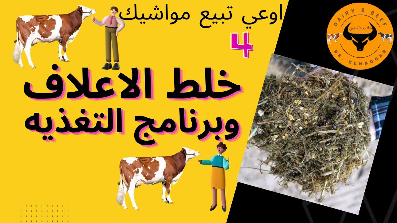فن خلط الأعلاف للأبقار والجاموس الحلاب، وتقديم الاعلاف، سلسلة اوعي تبيع مواشيك 4