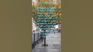 تلاوة مريحة للقلب بصوت الشيخ احمد العجمي ماتيسر من سورة الفجر