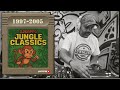 DJ SAPPO - 90's Rolling Jungle &amp; Dnb mix! - VINYL &amp; DUPLATE Only!
