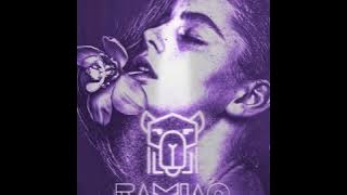 DirpReport - SKECHERS