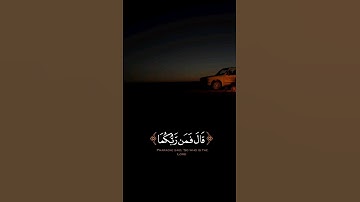 قال فمن ربكما يا موسى | #تلاوة من #سورة_طه بصوت المقرئ #عبدالرحمن_مسعد #قرآن #فلسطين #quran_alkarim