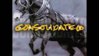Watch Consolidated Schnitzel Boy video