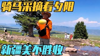 Download Lagu 房车自驾新疆,骑马摘野草莓,美丽景色看呆了【家和远方的旅行】 MP3 Download Lagu 房车自驾新疆,骑马摘野草莓,美丽景色看呆了【家和远方的旅行】 MP3