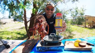 How To Catch Crayfish By Hand How To Cook Crayfish - Old Bay Dry Rub - Southport - Tasmania