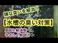 【水槽の嫌な臭いを解消しよう】臭いの原因と対策をプロがやさしく解説します!