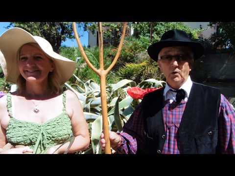 Image du reportage Fête des Moissons U Granu Anticu Aleria - Corse (Mathilde Galzin)
