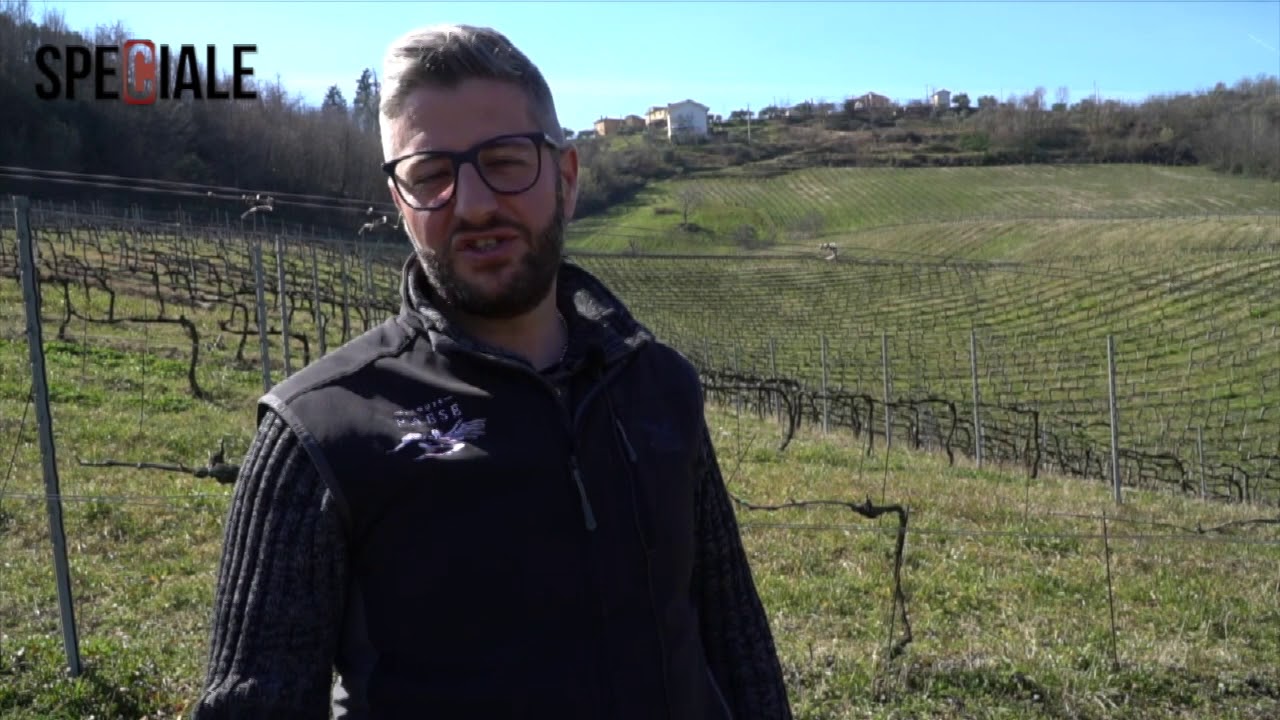 SPECIALE AZIENDA AGRICOLA TENUTE PAESE