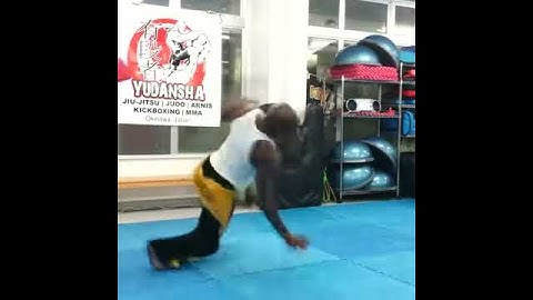 Capoeira Reversao Real Kick