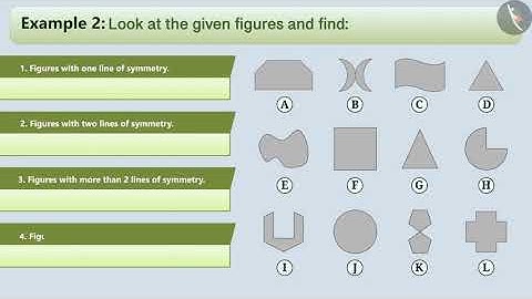 Lines of Symmetry | Part 2/3 | English | Class 6