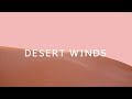 Desert wind sounds 10 hours  relaxing desert wind  wind sounds for relaxing sleeping