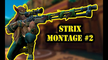 Paladins - STRIX MONTAGE (TOP PLAYS)