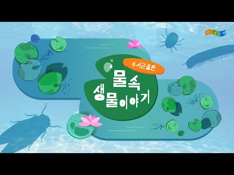 [교육]물속 생물이야기-수서곤충편