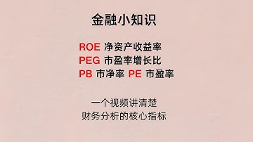 【财务指标解析】巴菲特的第一选股指标：ROE净资产收益率 | 如何利用财务指标进行投资决策 | PE市盈率 | PB市净率 | PEG市盈率增长比