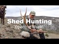 Wyoming Shed Hunting Opener 2021