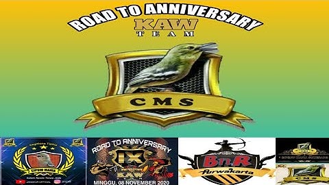 LOMBA BURUNG CIPOW DI SANDANG-PURWAKARTA