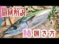 鰆 サワラの捌き方を詳しく解説します。
