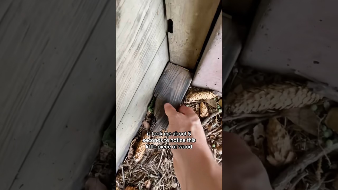 What is This Block Of Wood? 