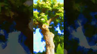 The First Skyscrapers: How Ancient Trees Helped Shape Our World