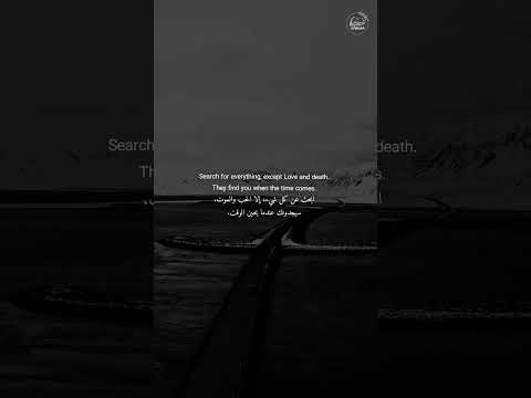 بحث حب موت وقت    