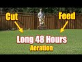 Spring Lawn Care Reel Mowing Lawns