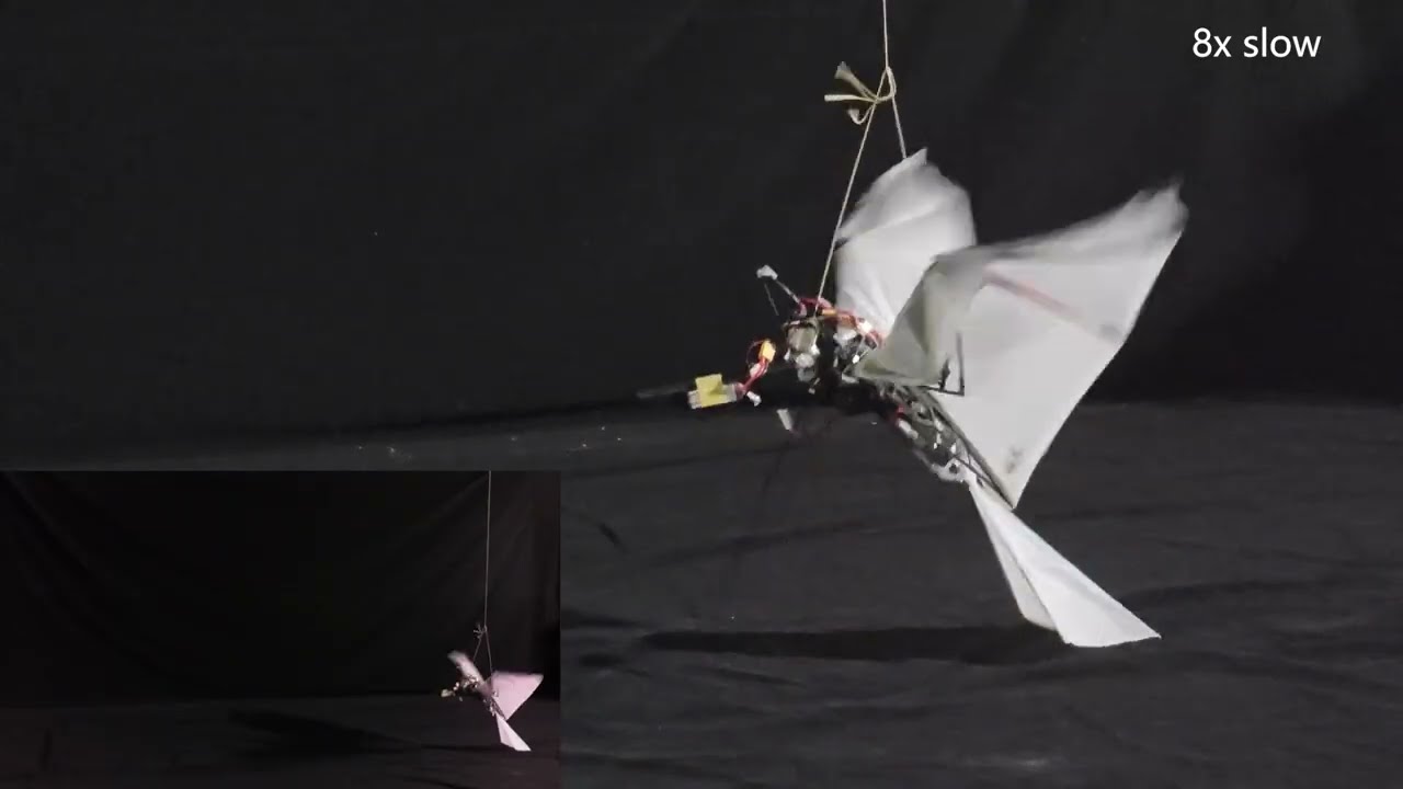 Flapping-wing robot achieves bird-style self-takeoff