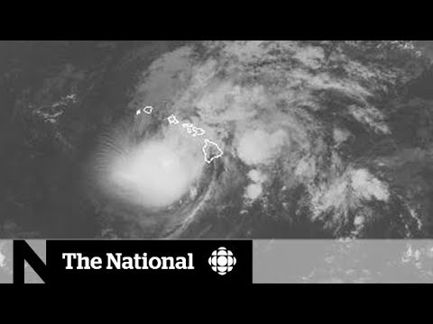 Hurricane Lane downgraded, Canadians still stuck in Hawaii
