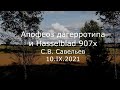 С.В. Савельев - Апофеоз дагерротипа и Hasselblad 907x