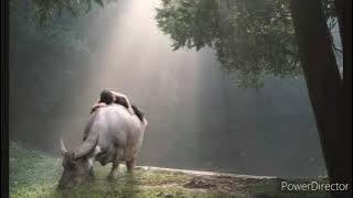 Remis girimis kasedih - Lagu sunda sedih..