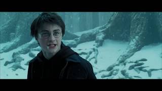 The demigod who lived || Percy Jackson & Harry Potter crossover trailer