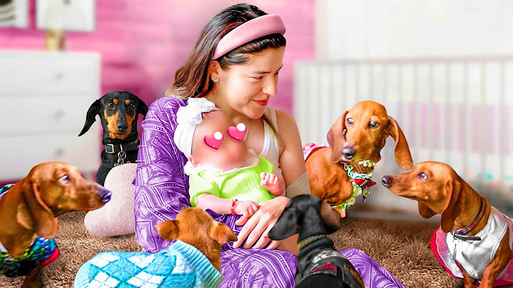 PUPPIES GETTING TO KNOW MY BABY | POLINESIOS