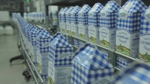 Cartons On Conveyor Belt Stock Video
